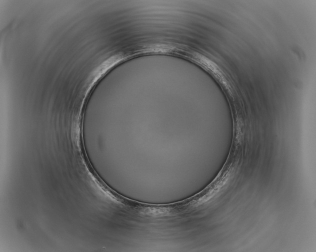 X0000115230802200911131642