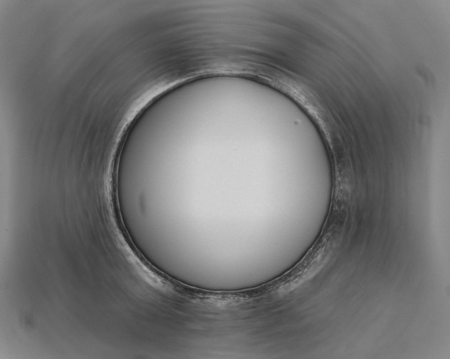 X0000115230803200911131642