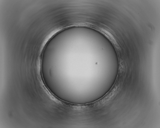 X0000115230804200911131642