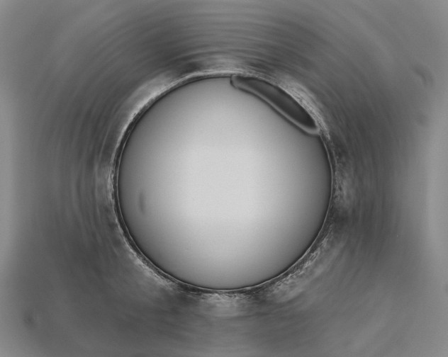 X0000115230805200911131642