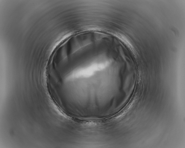 X0000115230806200911131642