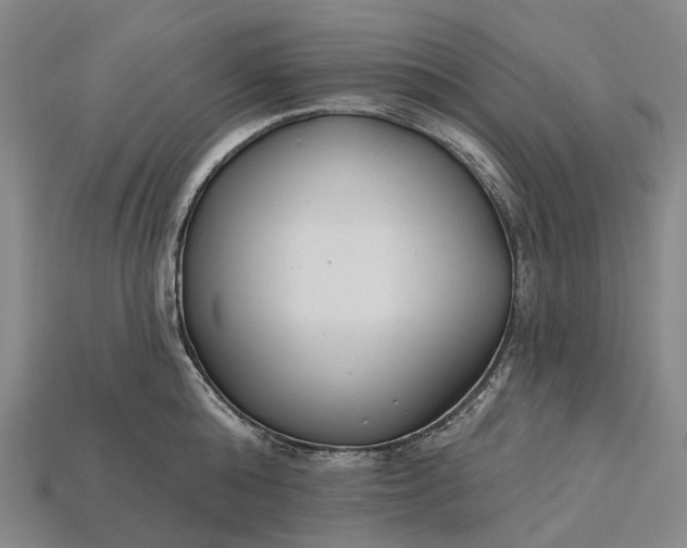 X0000115230808200911131642