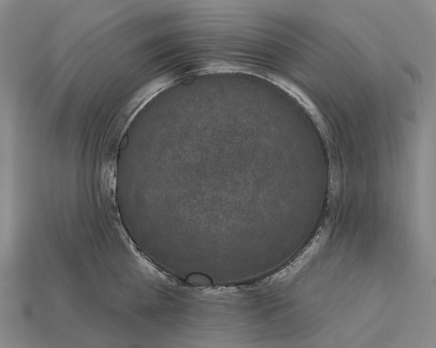 X0000115230809200911131642