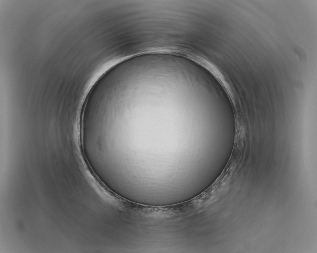 X0000115230811200911131642