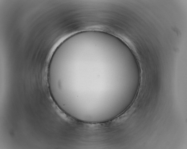 X0000115230816200911131642