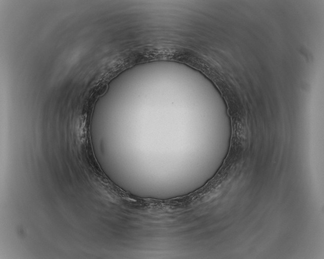 X0000115230818200911131641