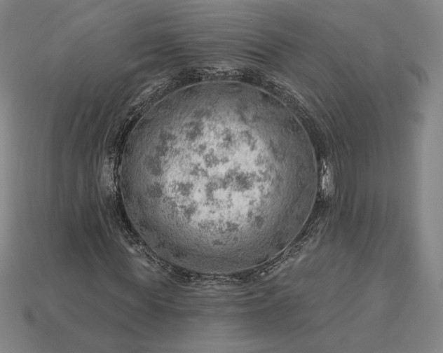 X0000115230819200911131641