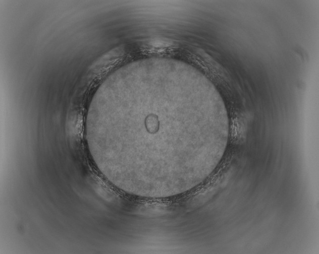 X0000115230820200911131641