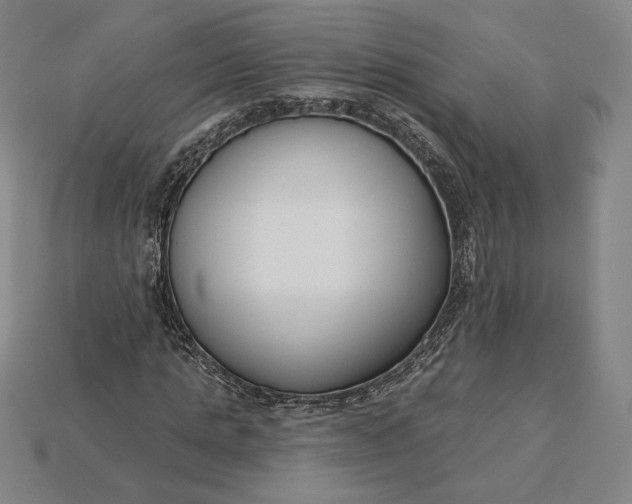 X0000115230821200911131641