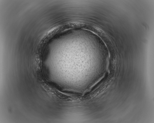 X0000115230822200911131641