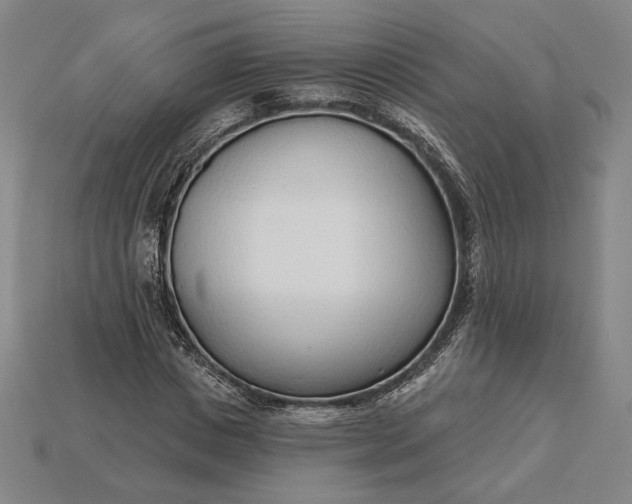 X0000115230825200911131641