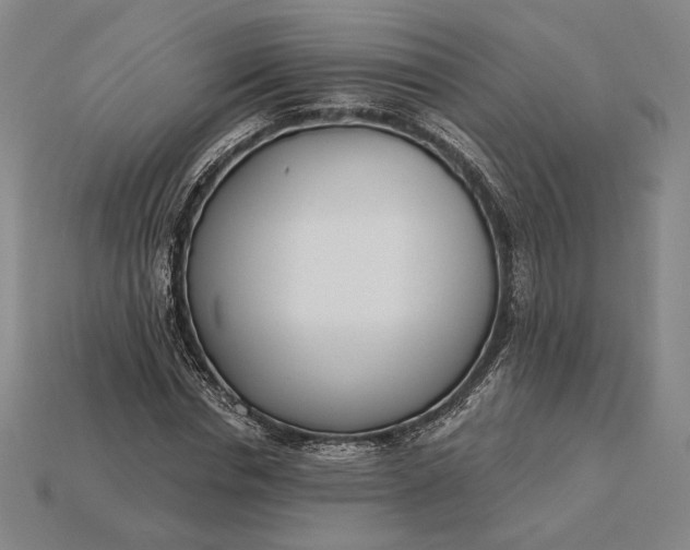 X0000115230826200911131641
