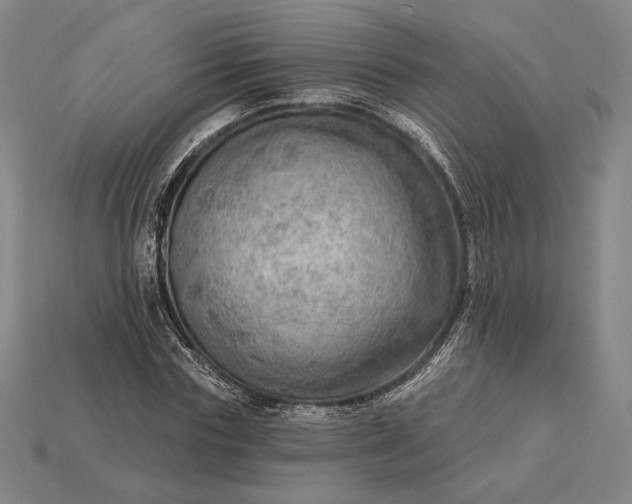 X0000115230827200911131641