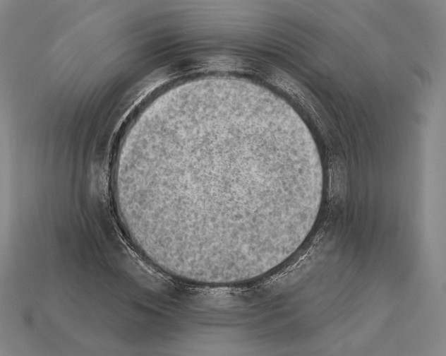 X0000115230828200911131641