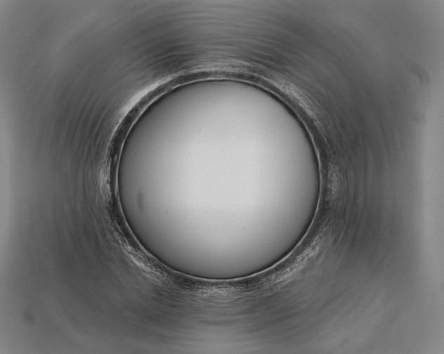 X0000115230830200911131642