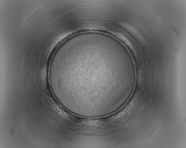 X0000115230831200911131642