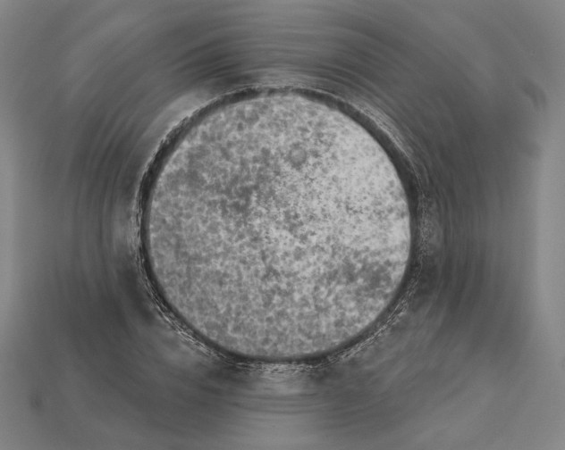 X0000115230832200911131642