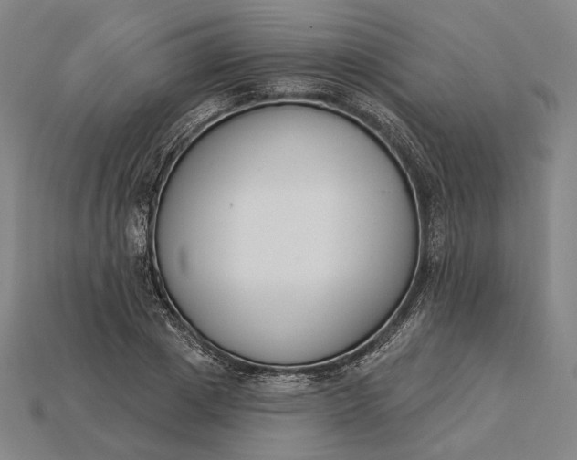 X0000115230833200911131642
