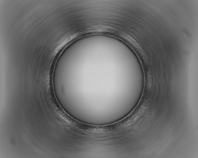 X0000115230834200911131642