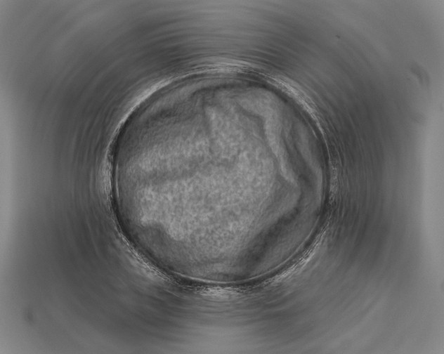 X0000115230835200911131642