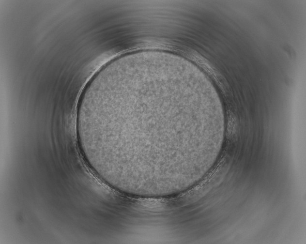 X0000115230836200911131642