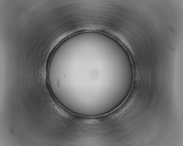 X0000115230837200911131642