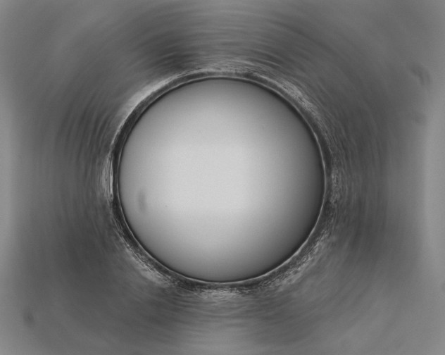 X0000115230838200911131642