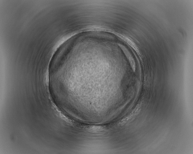 X0000115230839200911131642