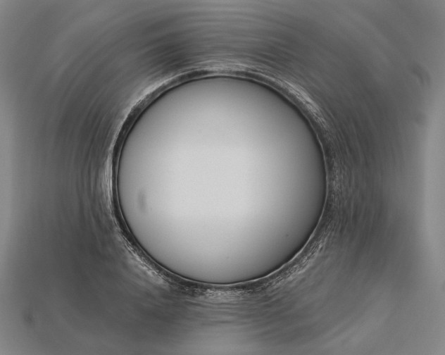 X0000115230840200911131642