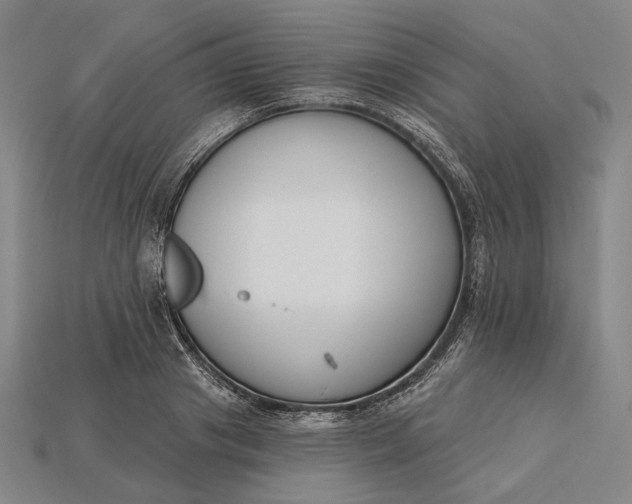 X0000115230841200911131642