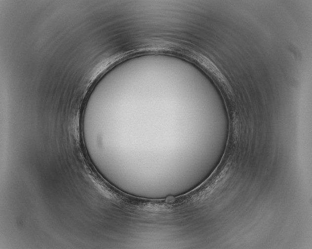 X0000115230842200911131642