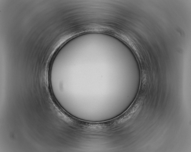 X0000115230843200911131642