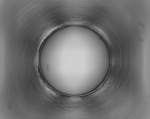 X0000115230844200911131642