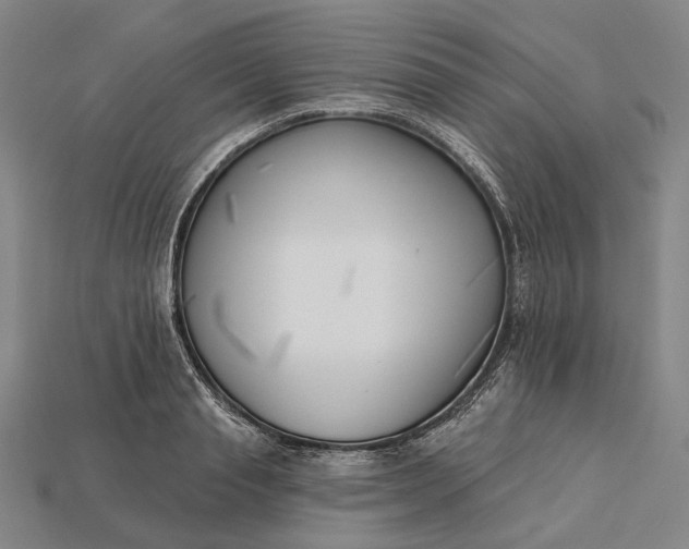 X0000115230845200911131642