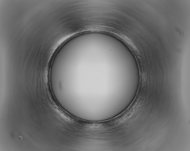 X0000115230846200911131642
