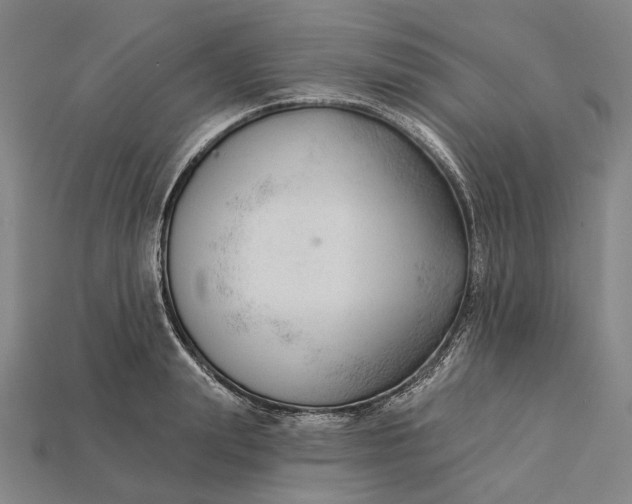 X0000115230847200911131642