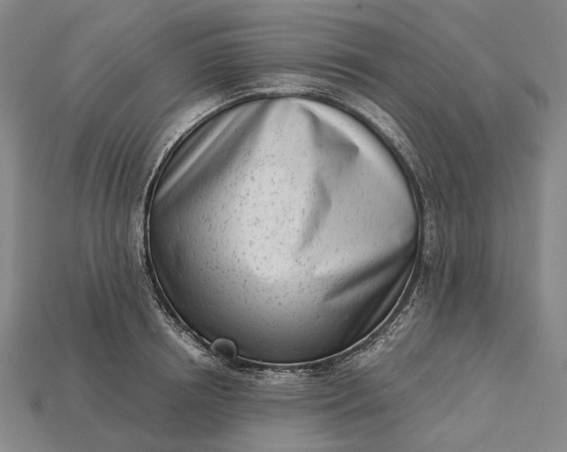 X0000115230850200911131642