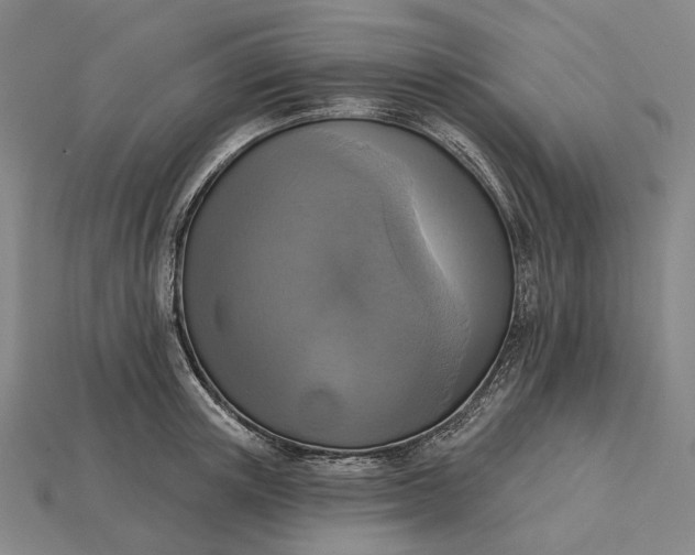 X0000115230851200911131642