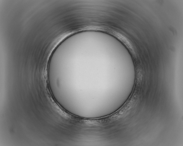 X0000115230852200911131642