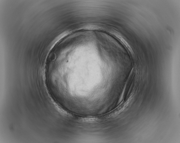 X0000115230853200911131642