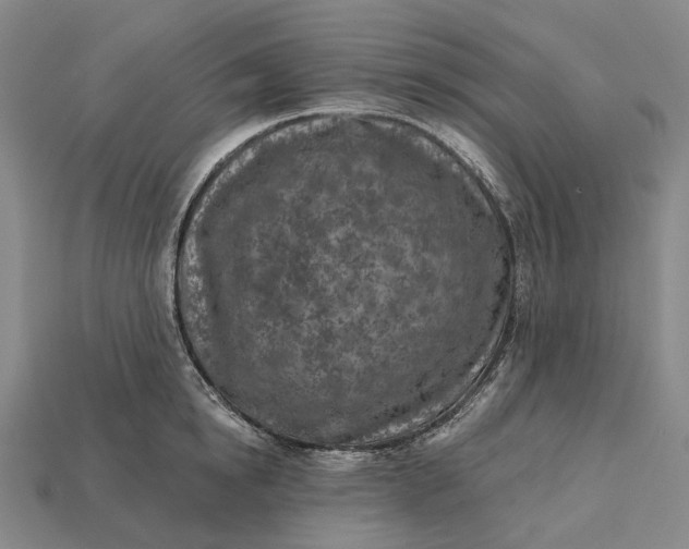 X0000115230854200911131642