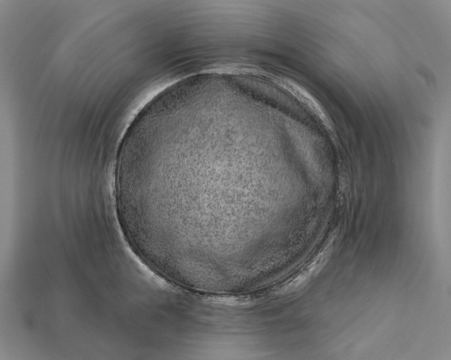 X0000115230855200911131642