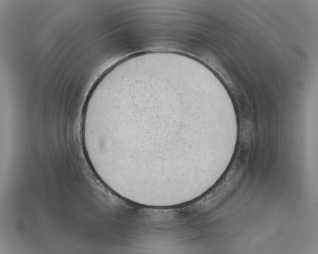 X0000115230856200911131642