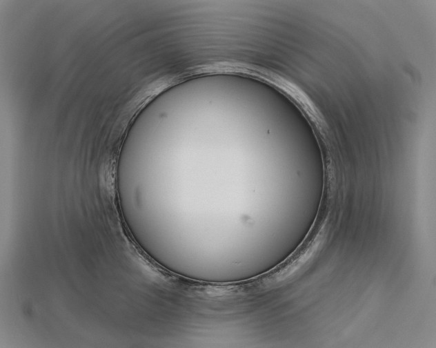X0000115230857200911131642