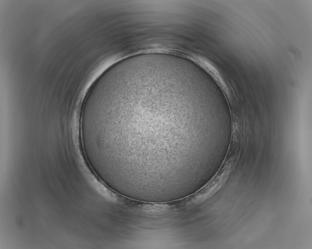 X0000115230859200911131642