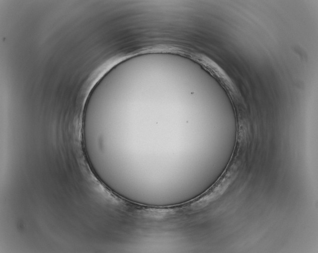 X0000115230860200911131642