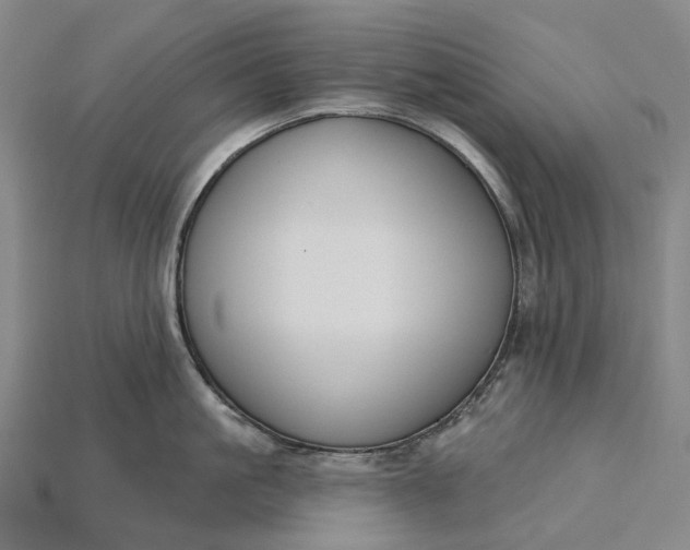 X0000115230861200911131642
