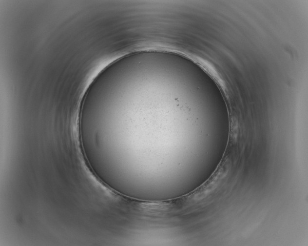 X0000115230863200911131642