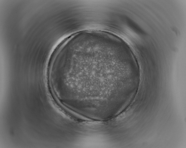 X0000115230864200911131642