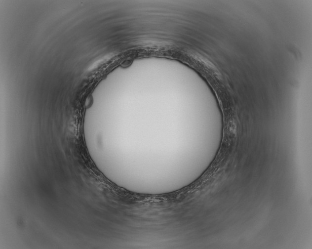 X0000115230869200911131641